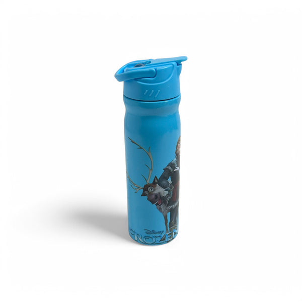 Frozen 400 ml Kids stainless steel Water Bottle