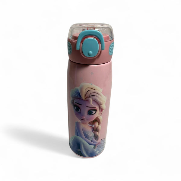 Frozen Stainless Steel Water Bottle 500ML